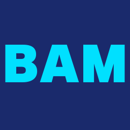Blue Amp Media