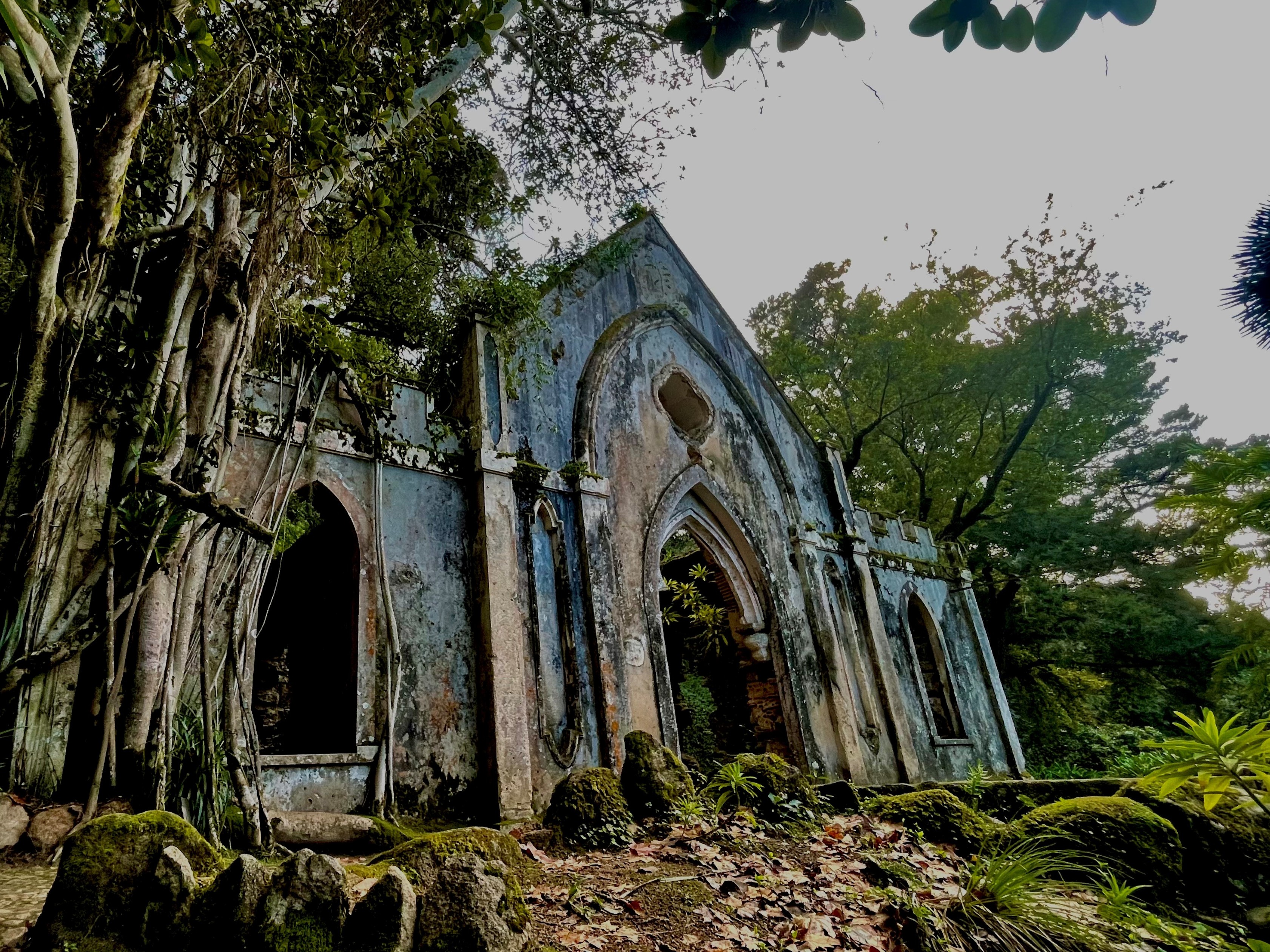 A Garden Among Ruins - by Cerina Triglavcanin
