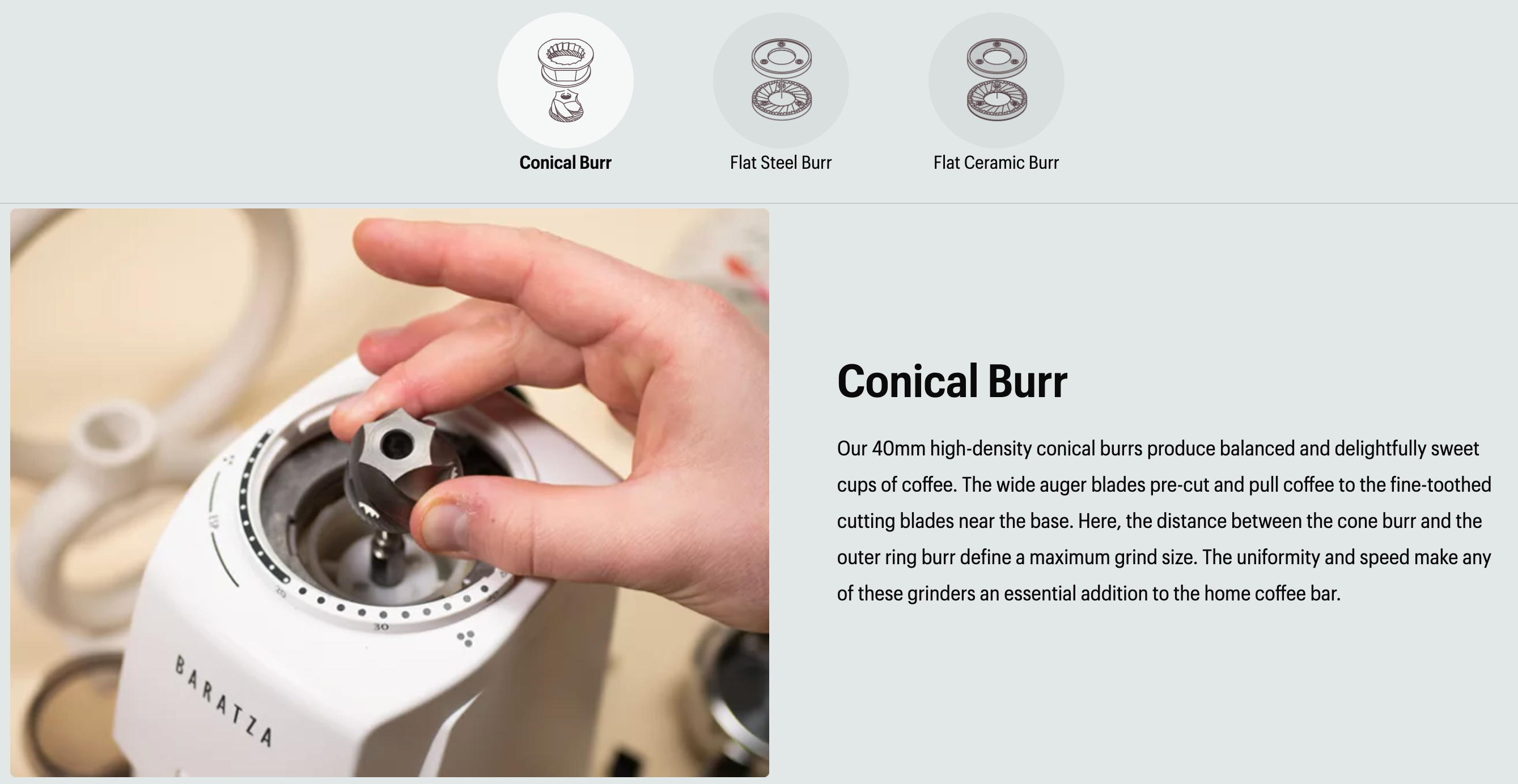 A photo of the inside of a conical burr.