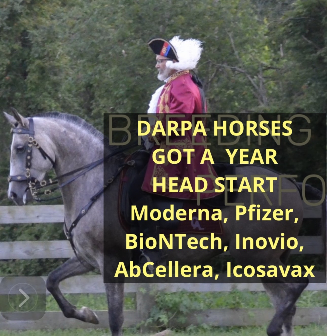 DARPA, NATO, WHO -Part Two – All Bob’s DARPA And DTRA Horses Got A Head Start