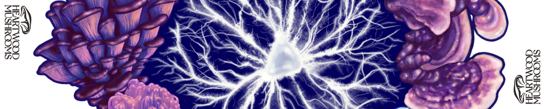 Incremental Improvements to Grow Your Mushroom Business