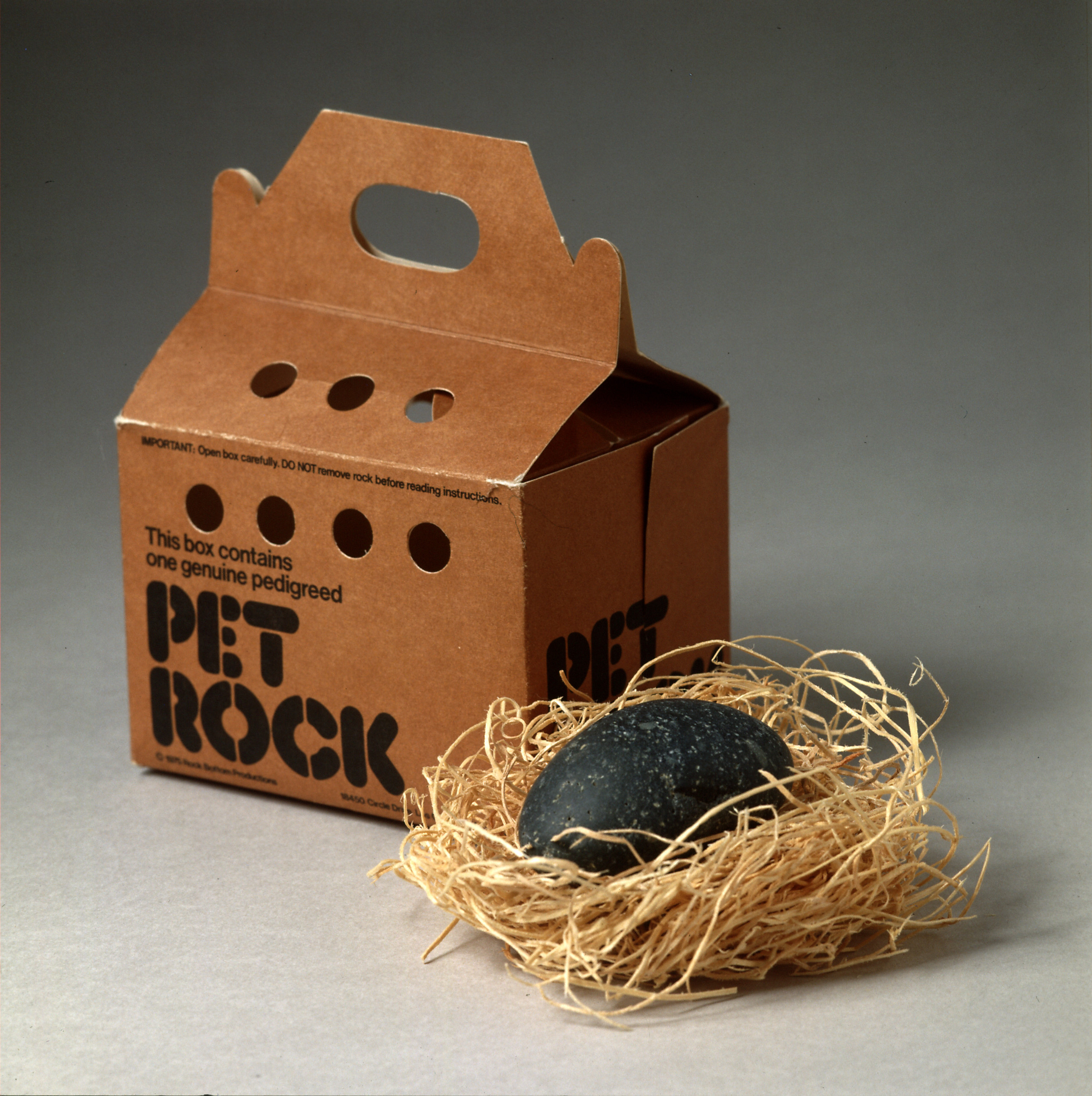 The Pet Rock Marketing Phenomenon: How a Gag Gift Made Millions