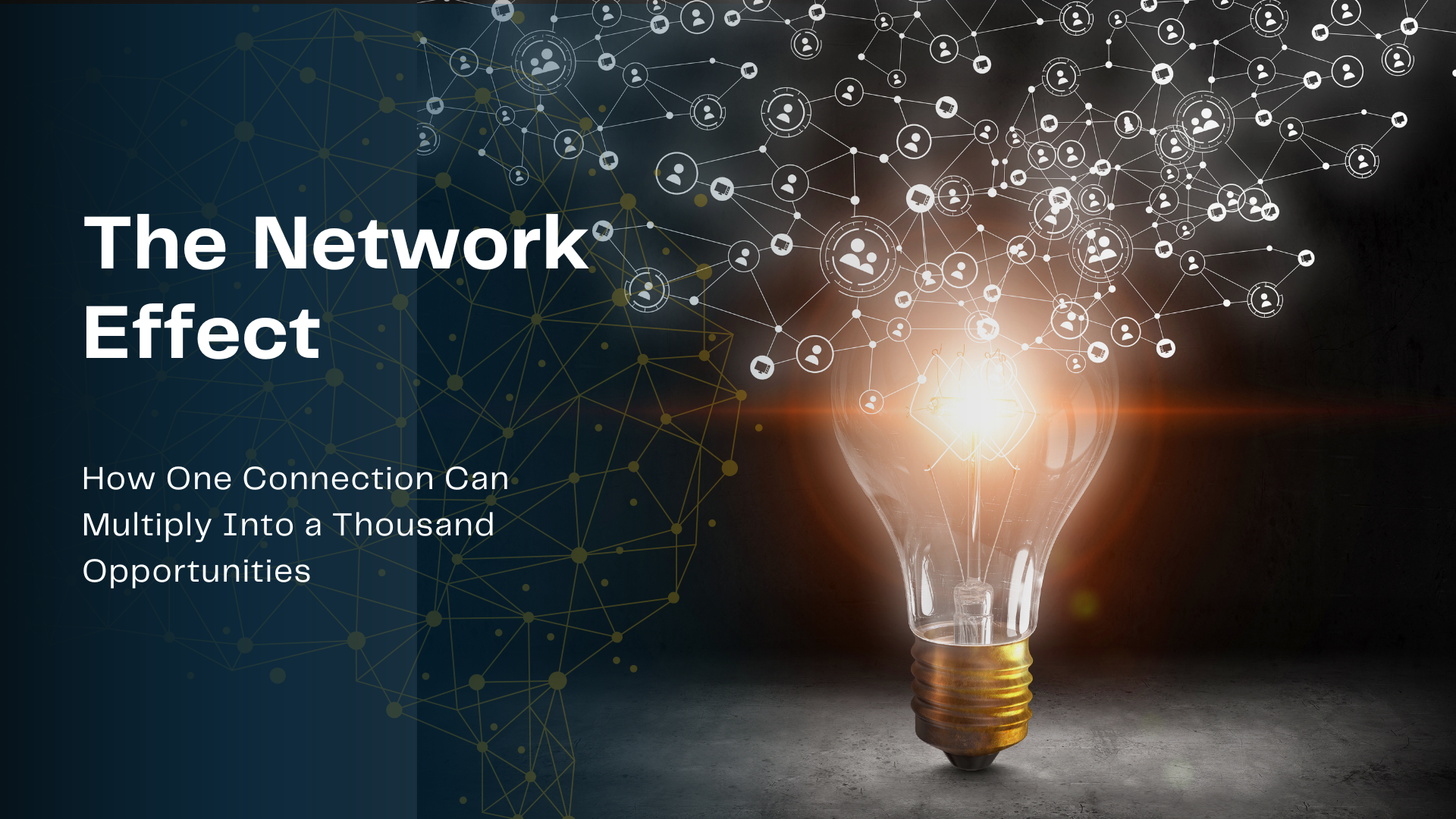 The Network Effect: How One Connection Can Multiply Into a Thousand ...