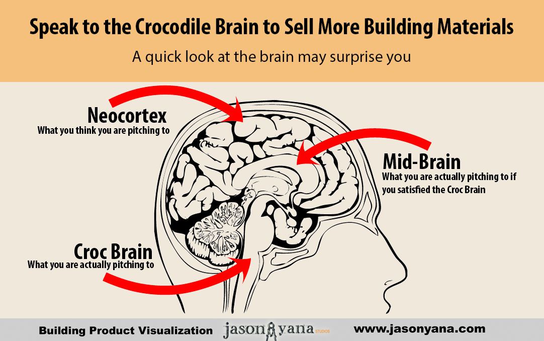 Speak to the Crocodile Brain to Market & Sell Building Materials Effectively | Visual Construction Marketing by Jason Yana