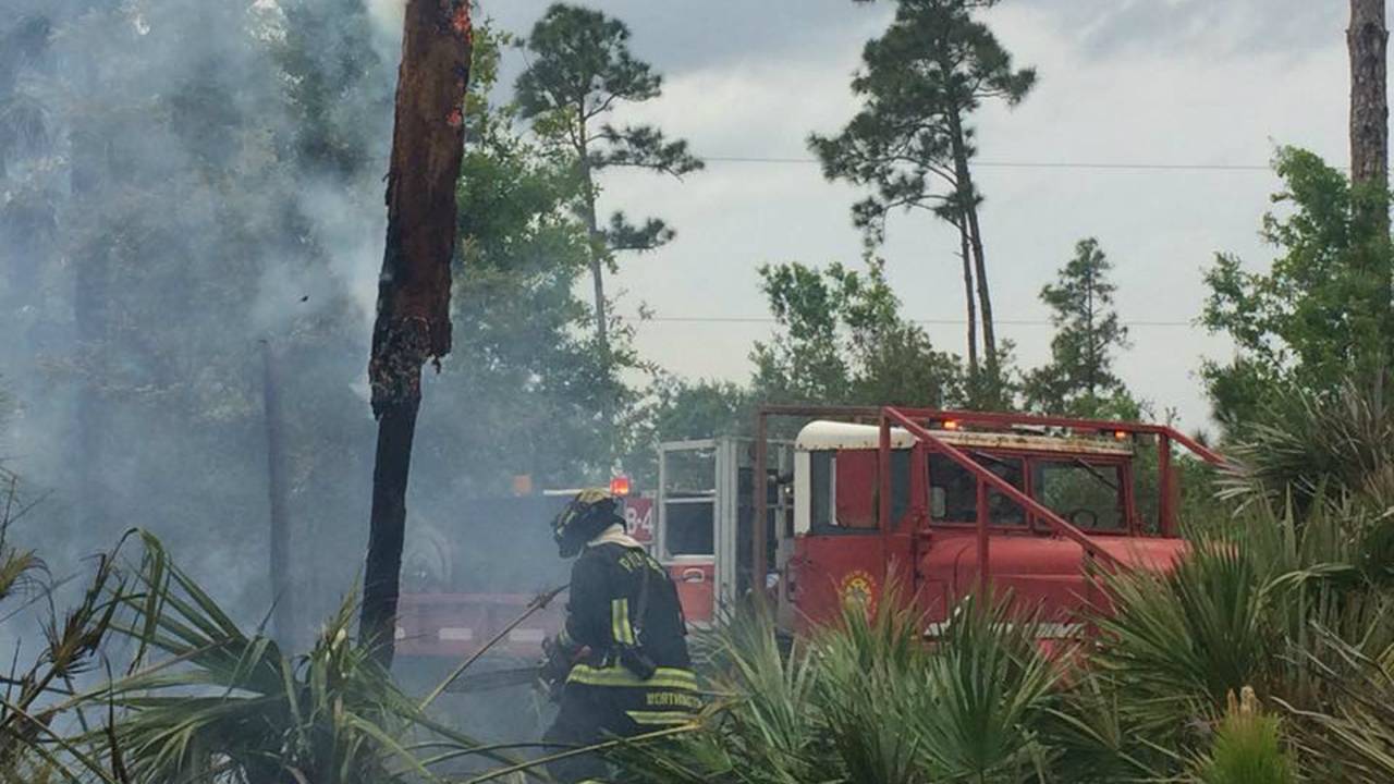 Image for article: March's Dry Conditions Fuel 43 Brush Fires in Palm Bay