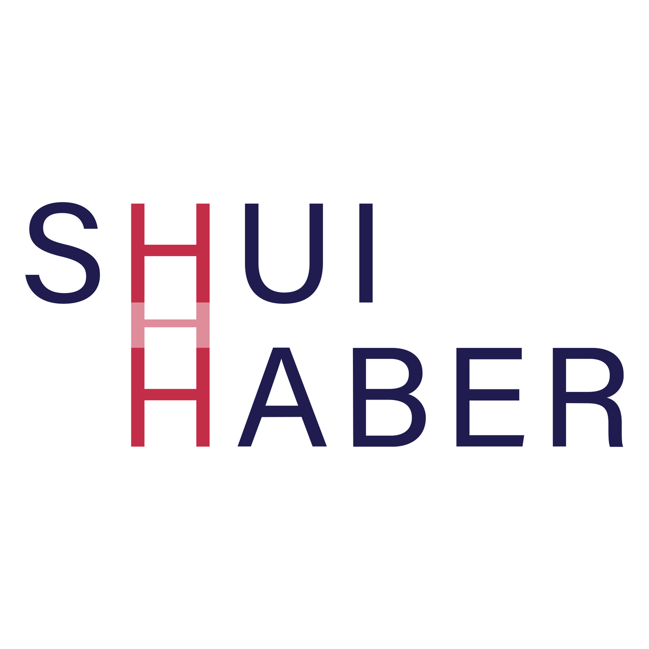 Substack banner for @shui