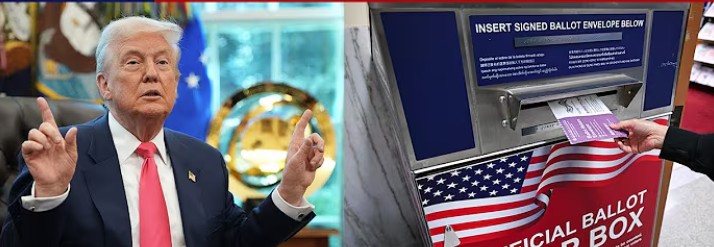 Trump's Mail In Voting Hypocrisy Blows Up In His Face