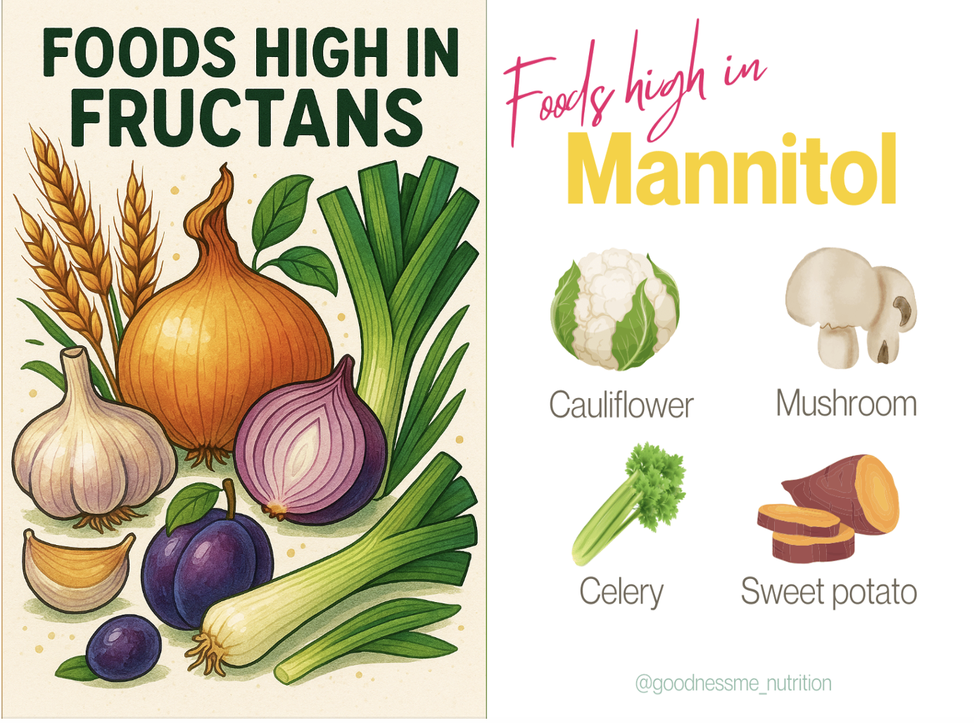Fructans Example Bloating with IBS? A Low FODMAP Diet may help - Dr Arif Hussenbux