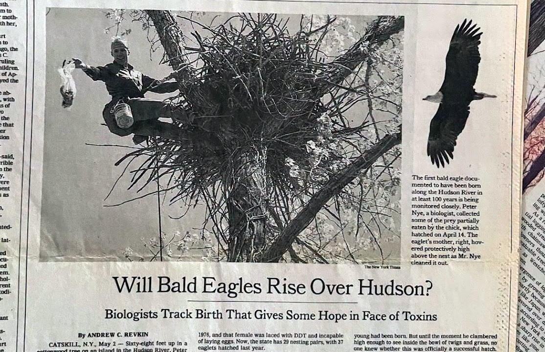 revkin.substack.com - Andy Revkin - Journalism Ethics Quiz - When an Eagle Biologist Asked Me Not to Mention a Jarring Detail
