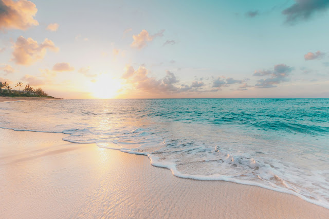 Embracing the Caribbean Dream: Jamaica and the Bahamas Thrive as Premier Investment and Vacation Destinations