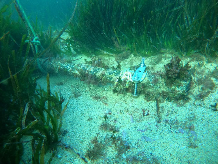 Un cable au fond de la mer