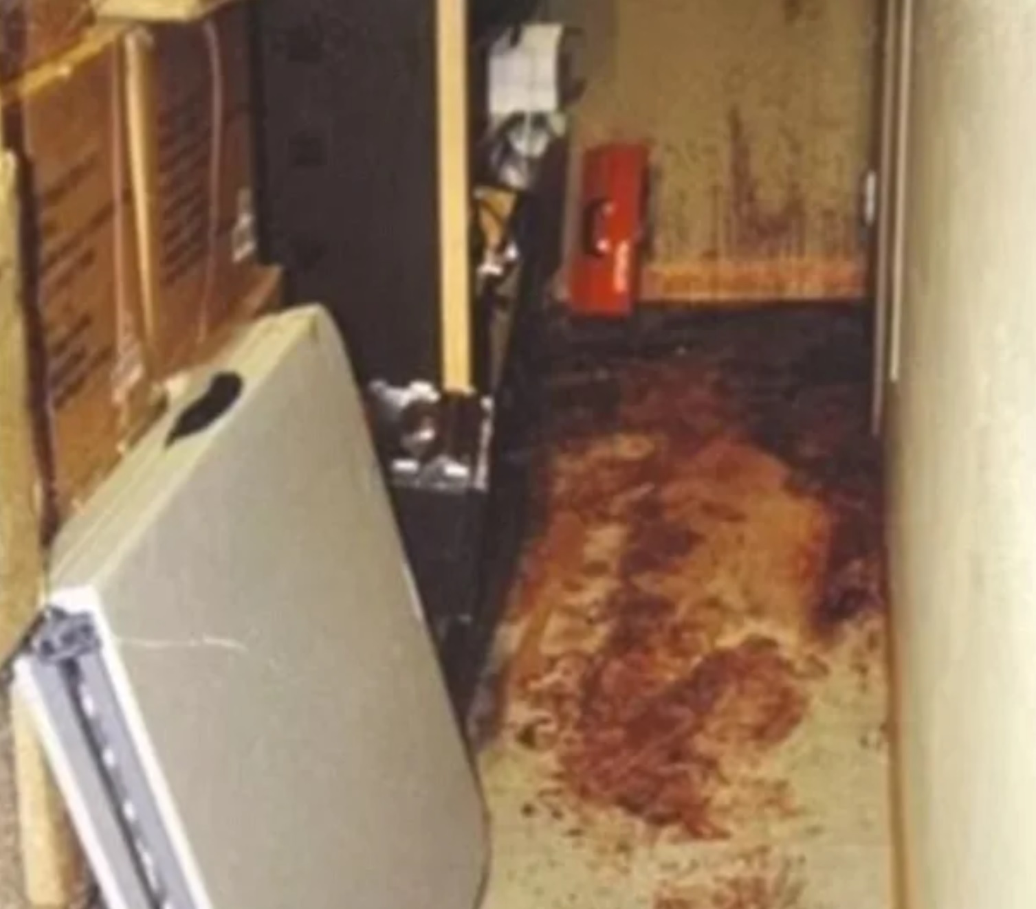 The Gruesome Tale of "Australia's Hannibal Lecter" Katherine Knight
