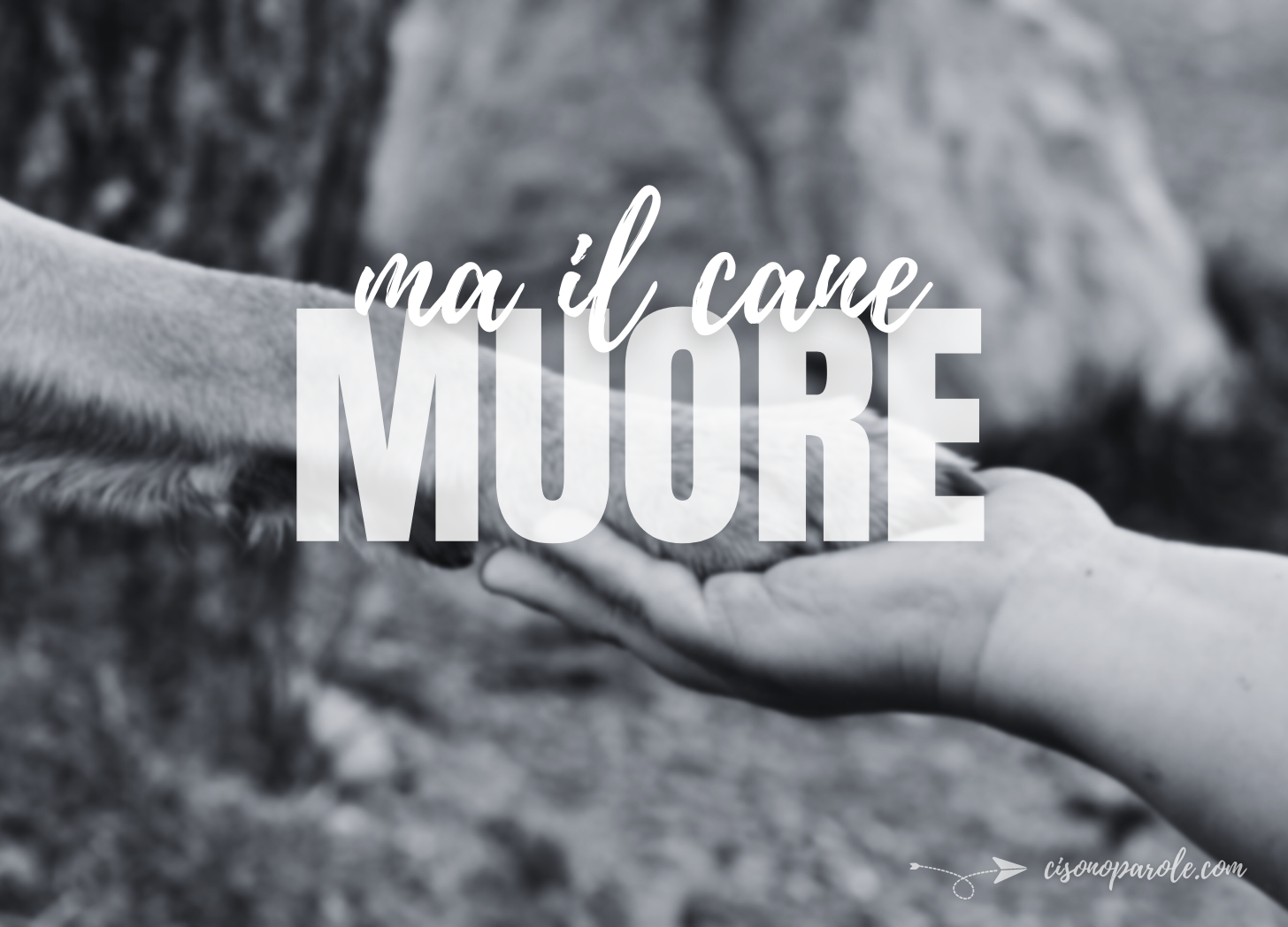 Qui - Sasaki Fujika, image size:1456x1048