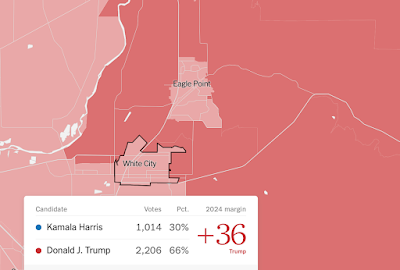 An extremely detailed map of the 2024 election