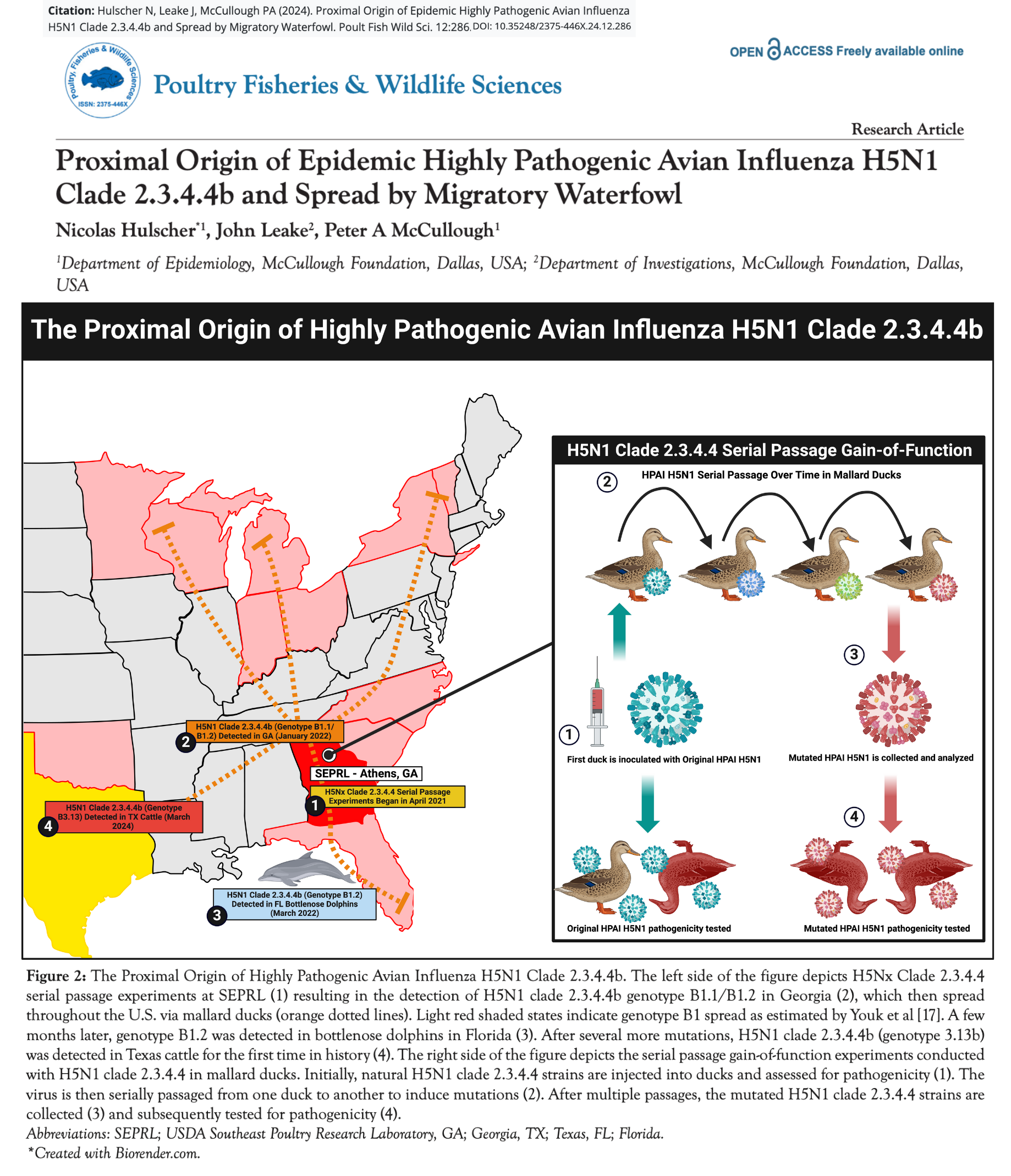 BREAKING - Peer-Reviewed Study Finds Current H5N1 Bird Flu Strain May ...