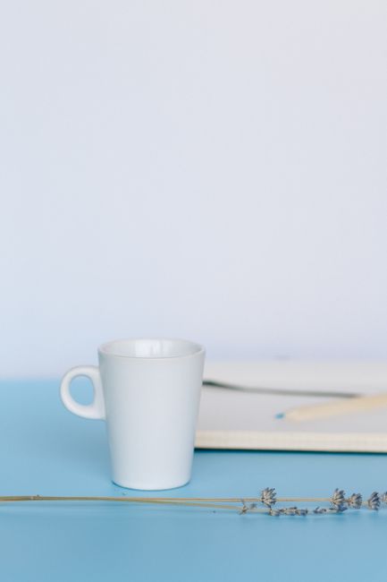 Bright photograph of a white ceramic mug of herbal tea on a light wood table beside a small open notebook and a single fresh sprig of lavender, bright natural daylight, cream and white tones