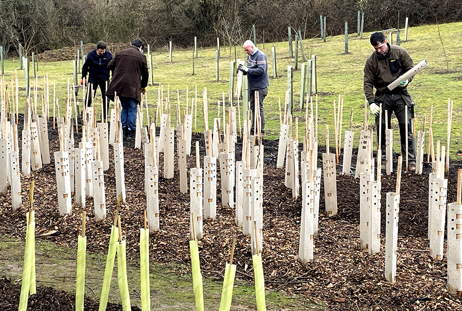Tree Guards Part 1 Plastic