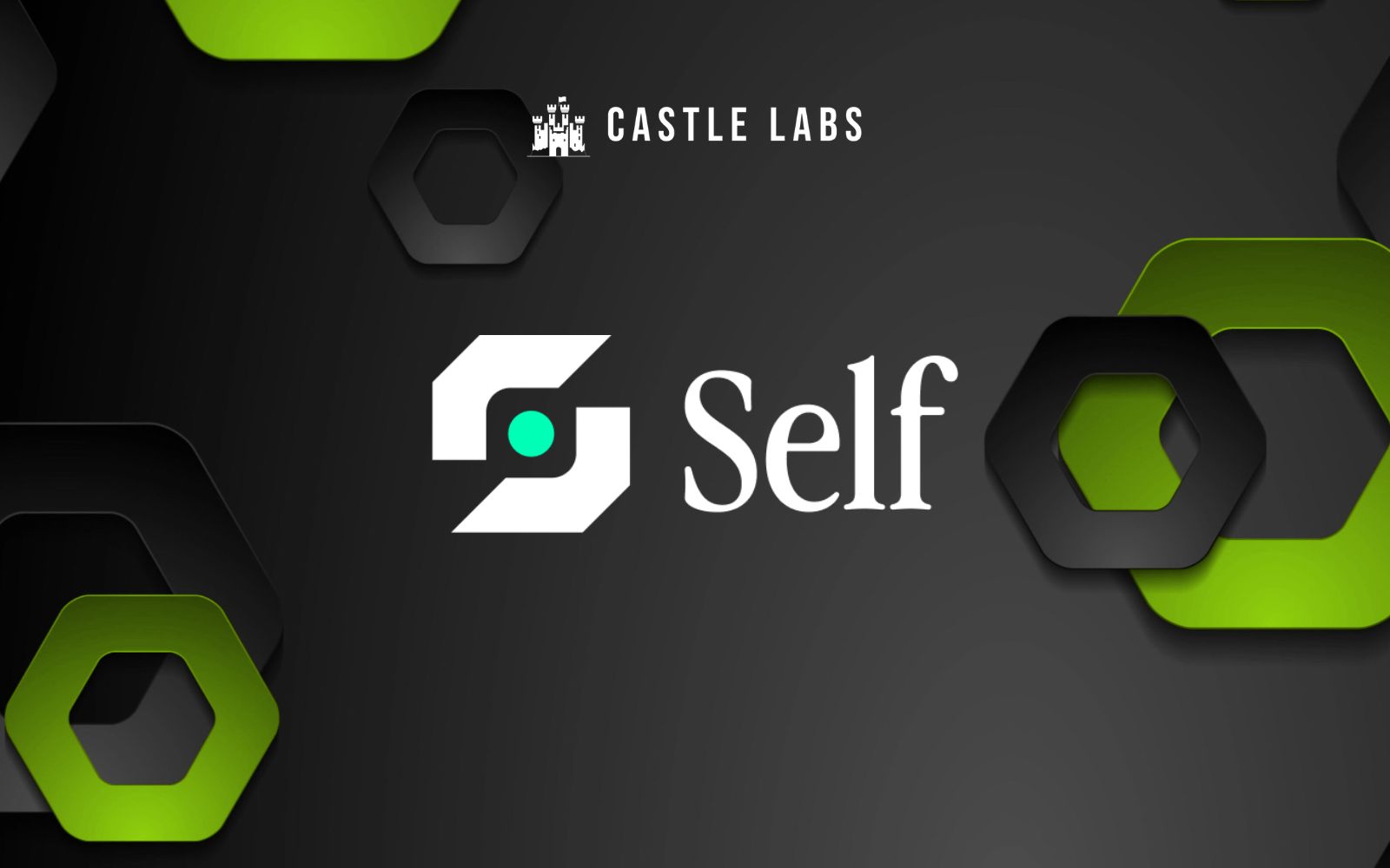 Proving YourSELF: Privacy and Identity Verification in the Age of AI