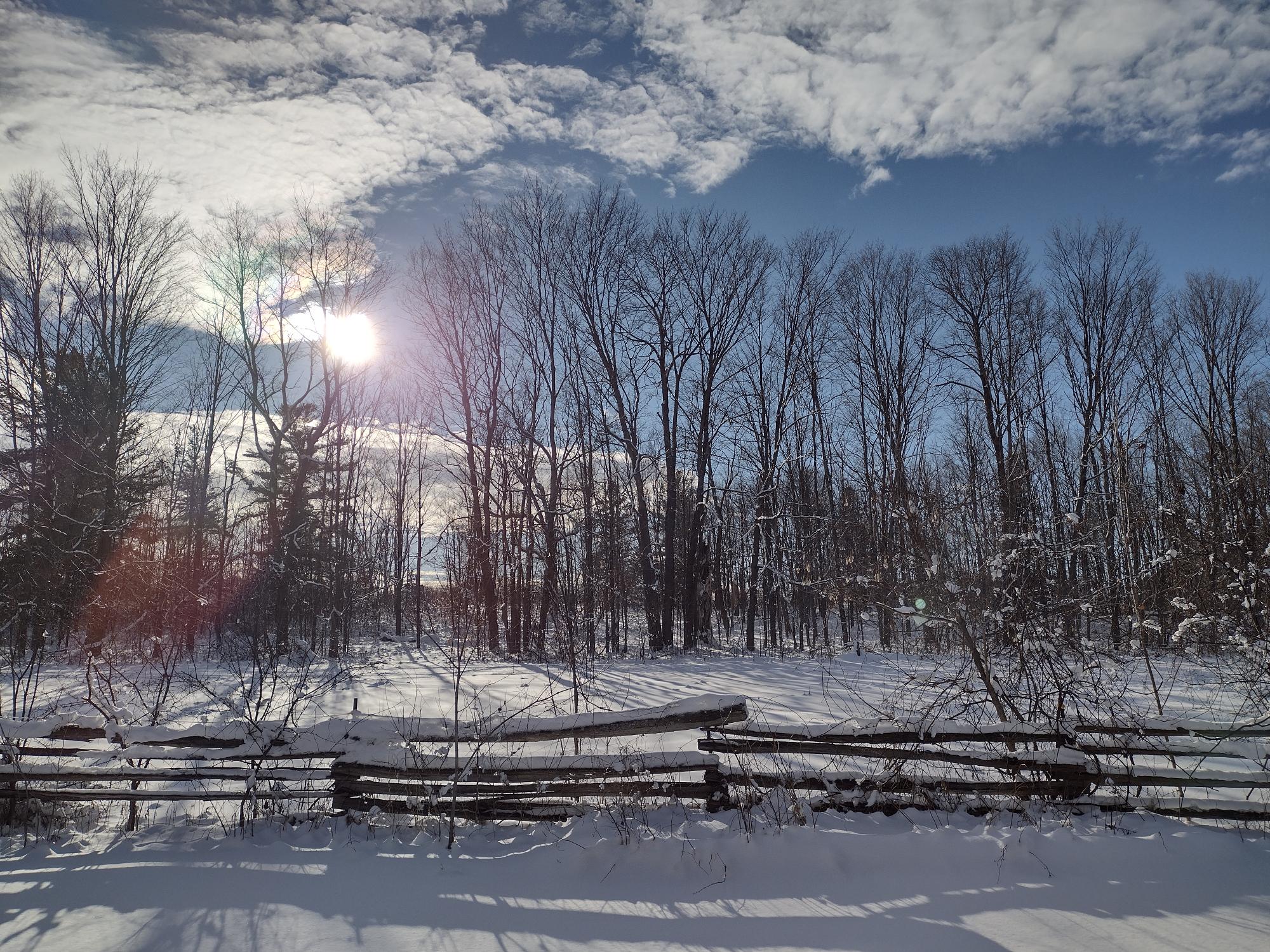 The Door Into Summer 2023