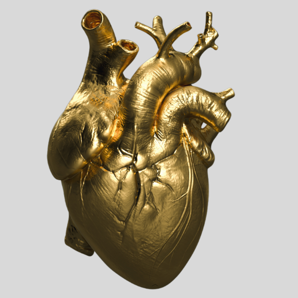 e8560424-6818-4319-b255-