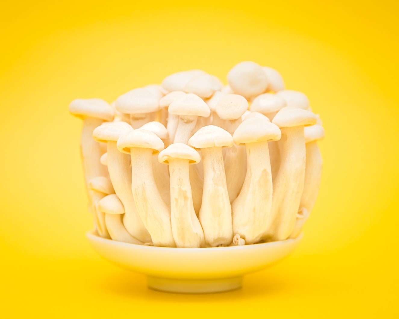 Co napędza świat tech? Grzyby, LSD i ketamina 💊