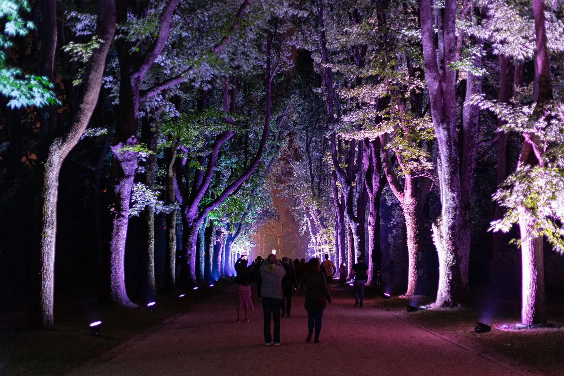 Serralves em Luz” no top 10 do “Times” das melhores exposições europeias - Expresso