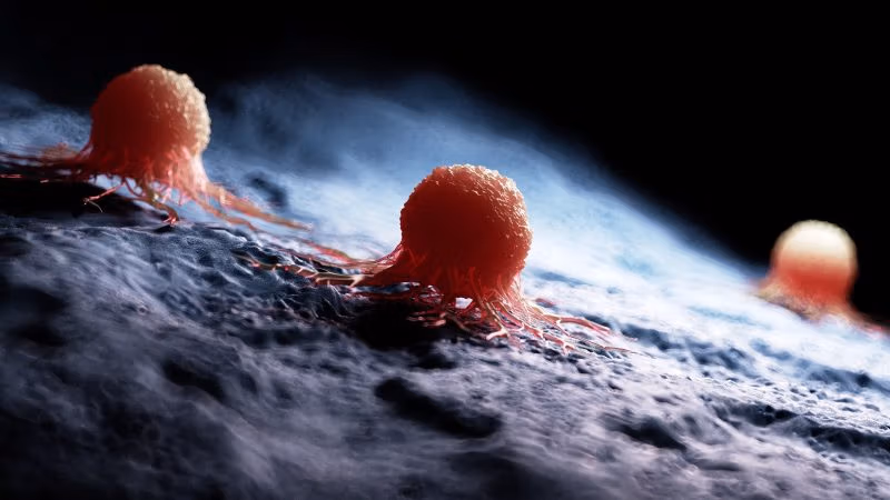 The Third Rail: Covid-19 Vaccines and Cancer