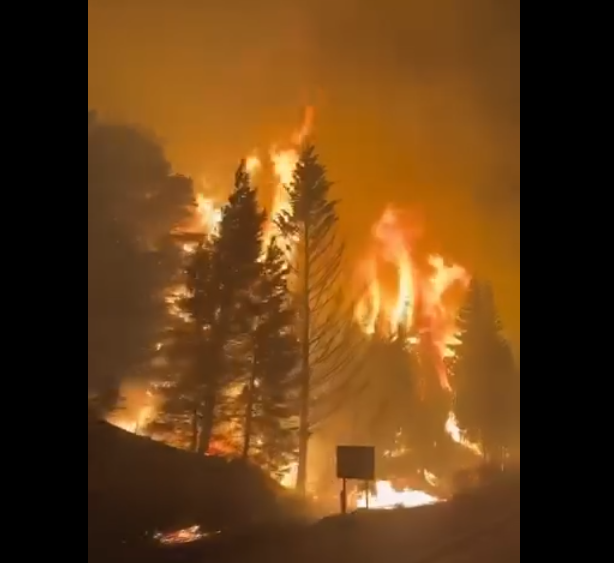 Retired Argentine General, Opposition Party and Locals Claim Israelis Caused Patagonia Wildfires