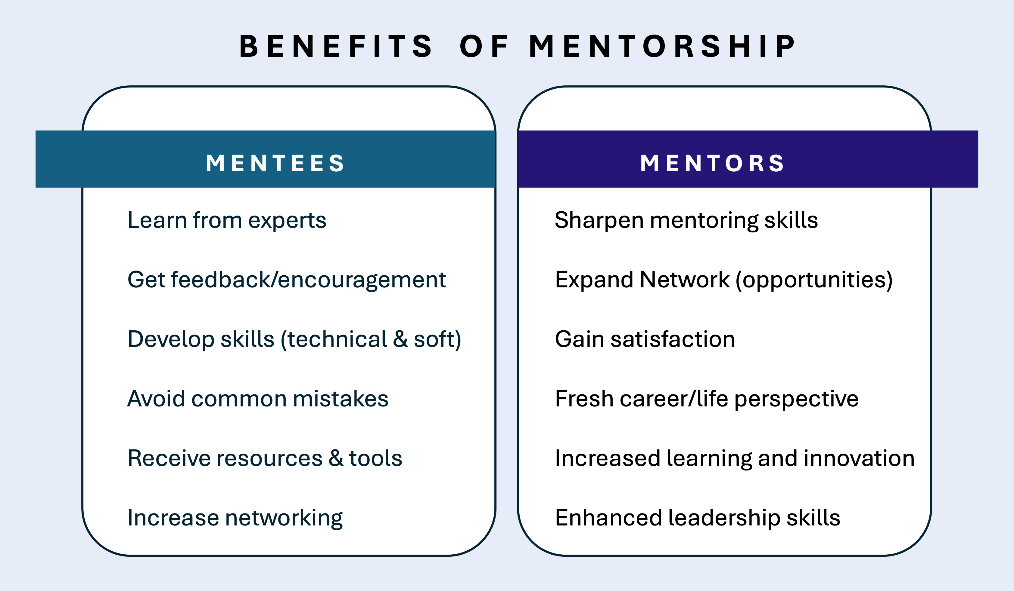 Mentors and Mentees - by Priscila Slepicka, PhD