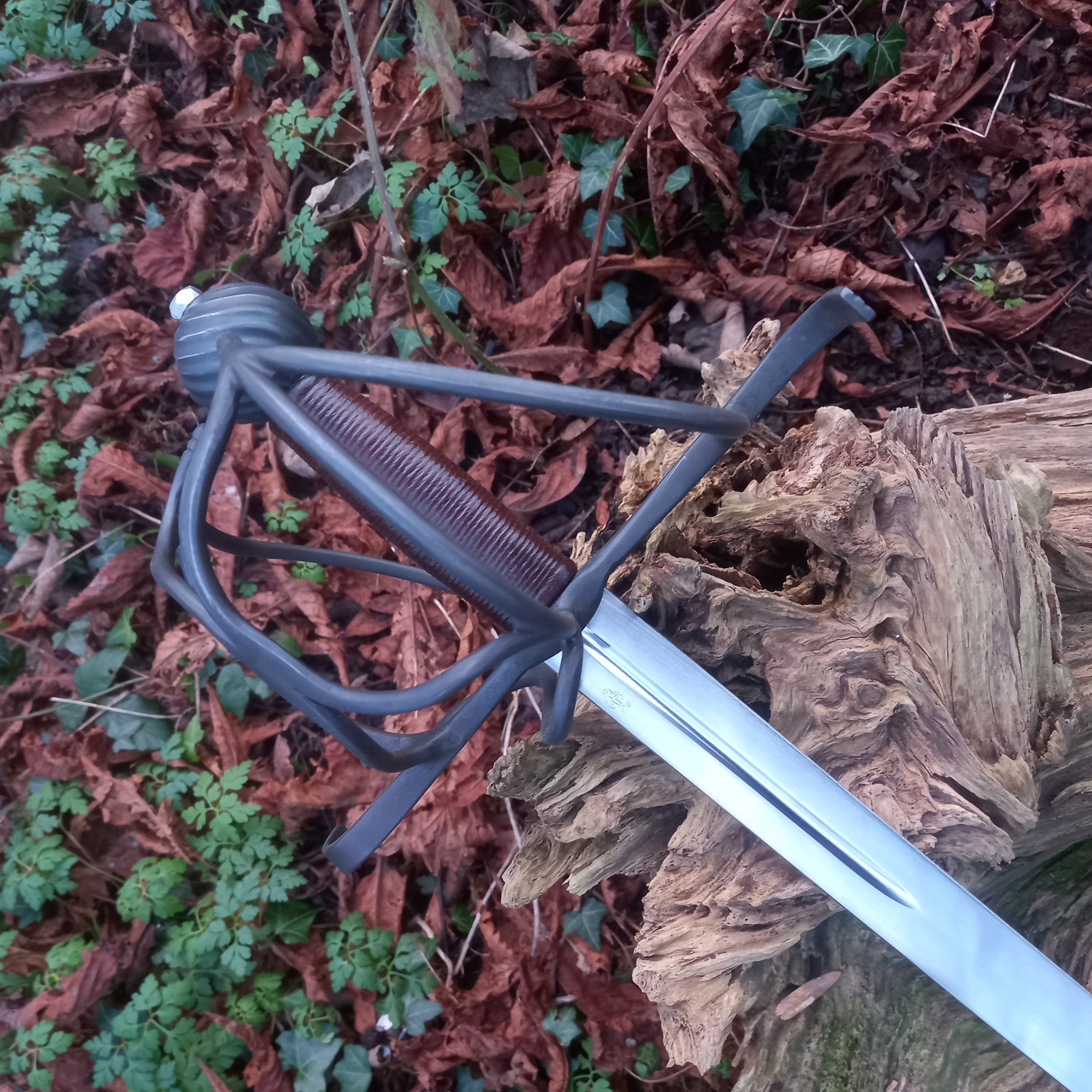Rapier Example Sentence Rapier Definition