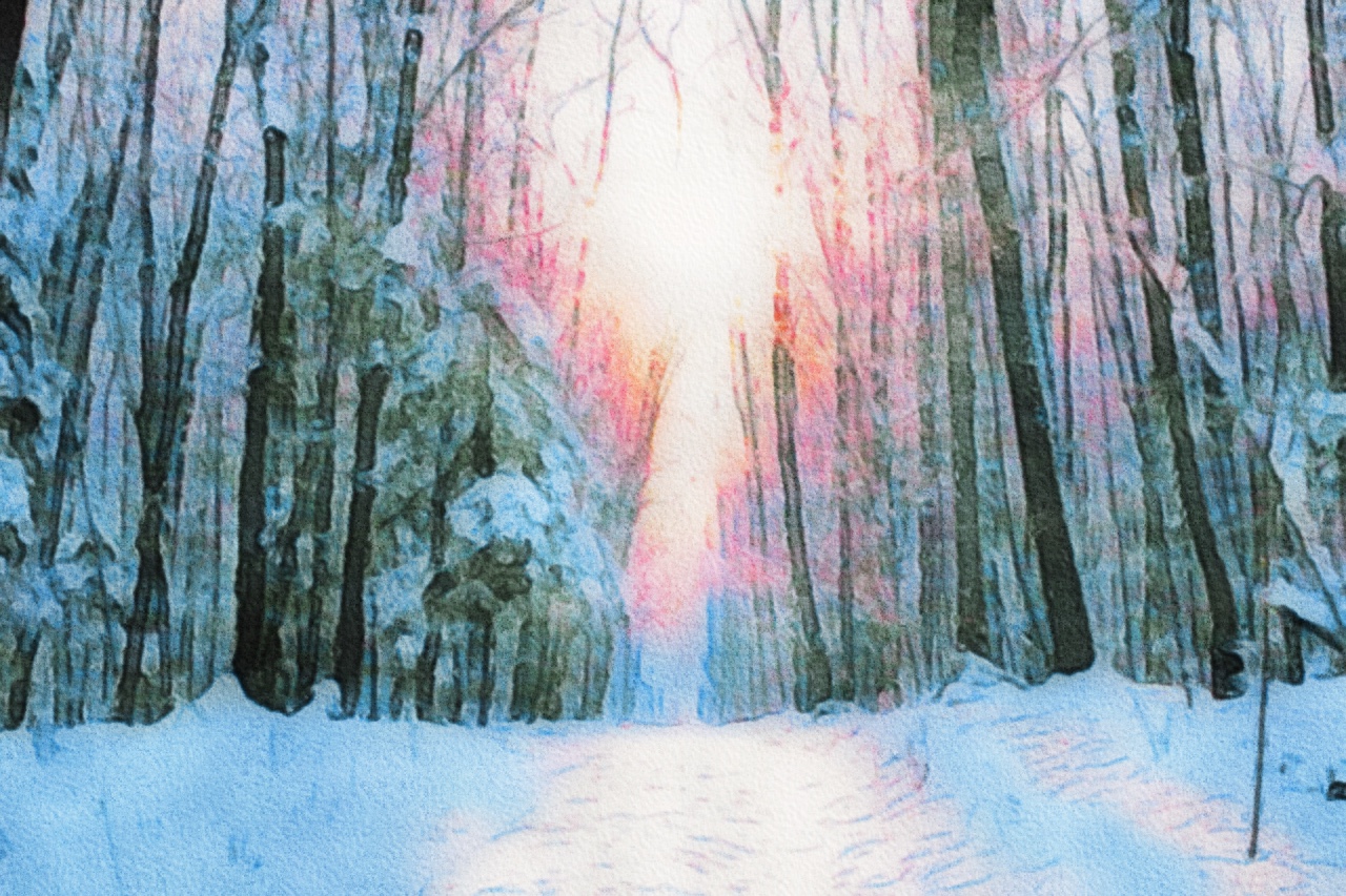 embracing the joy of missing out