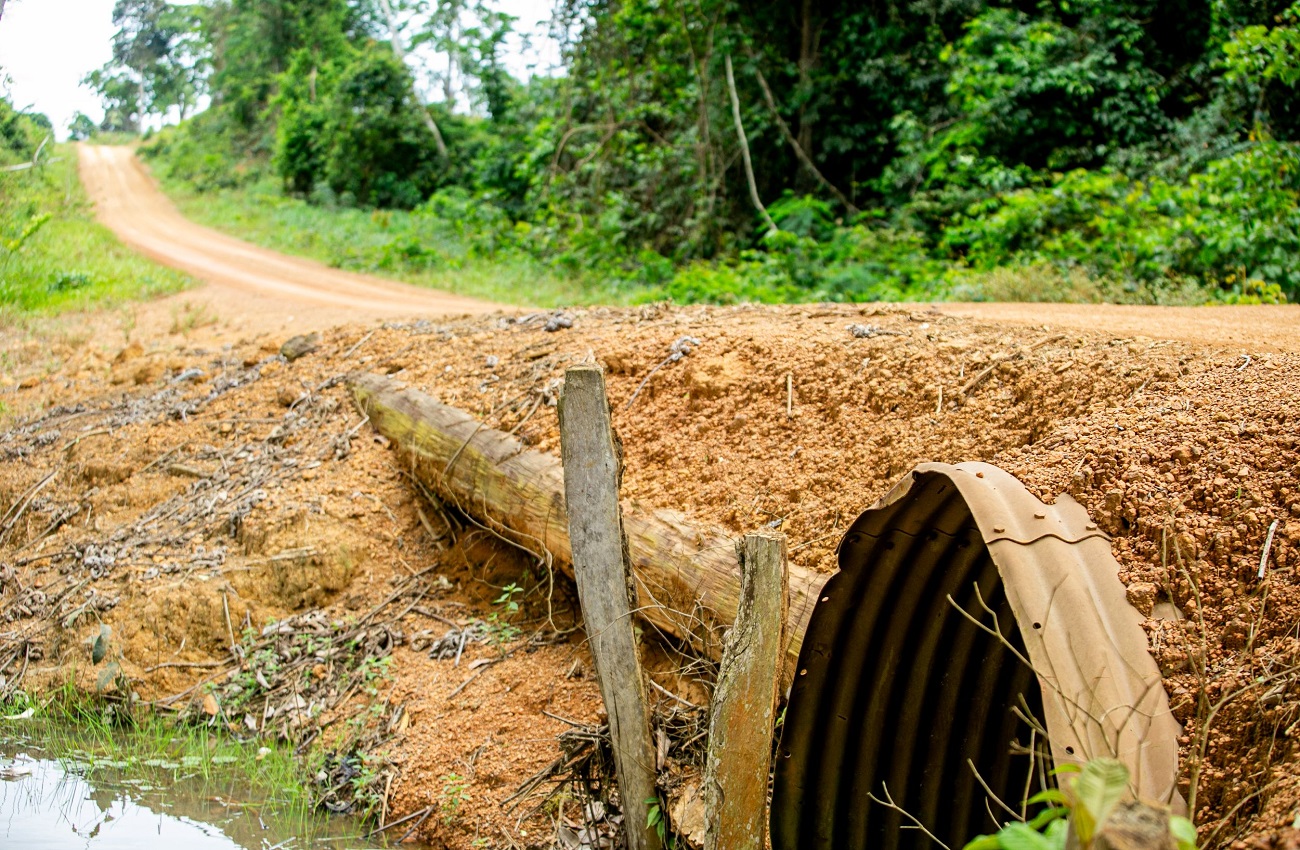 Ezequiel Neiva atua em defesa do campo e leva benefícios para zona rural de Theobroma