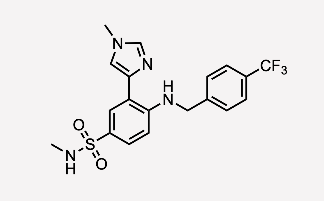 IK-930 (TEAD inhibitor) ✔️ - by Victoria Yan