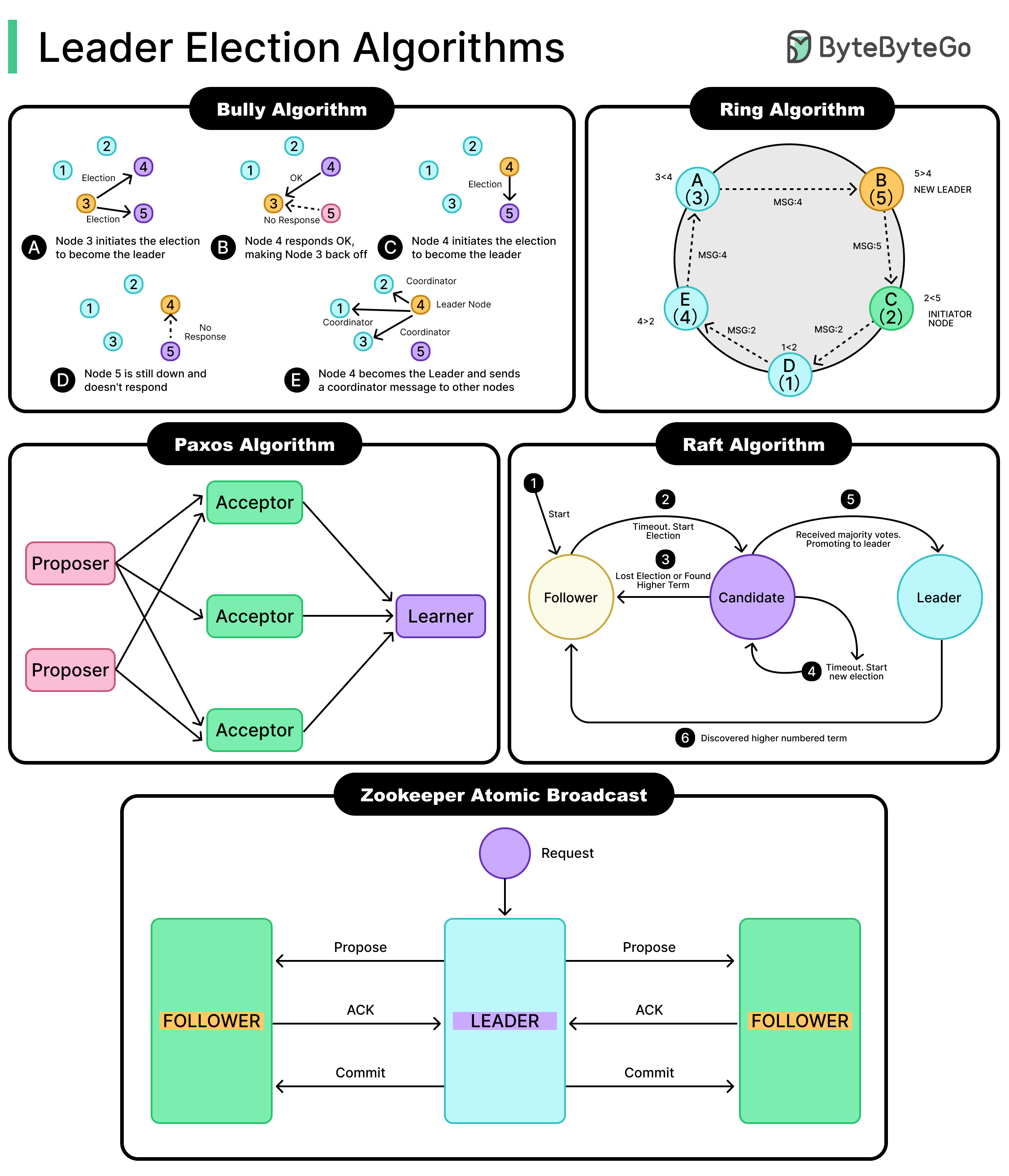 Top Leader Election Algorithms in Distributed Databases