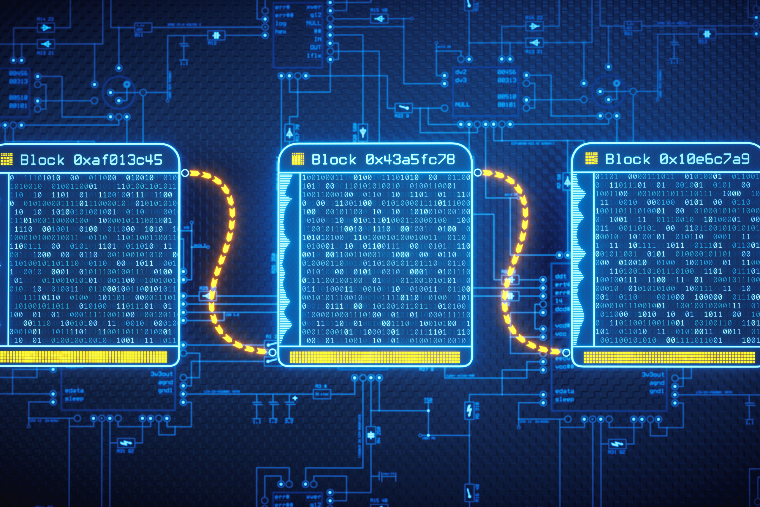 Understanding the Basics and Key Concepts of Digital Assets