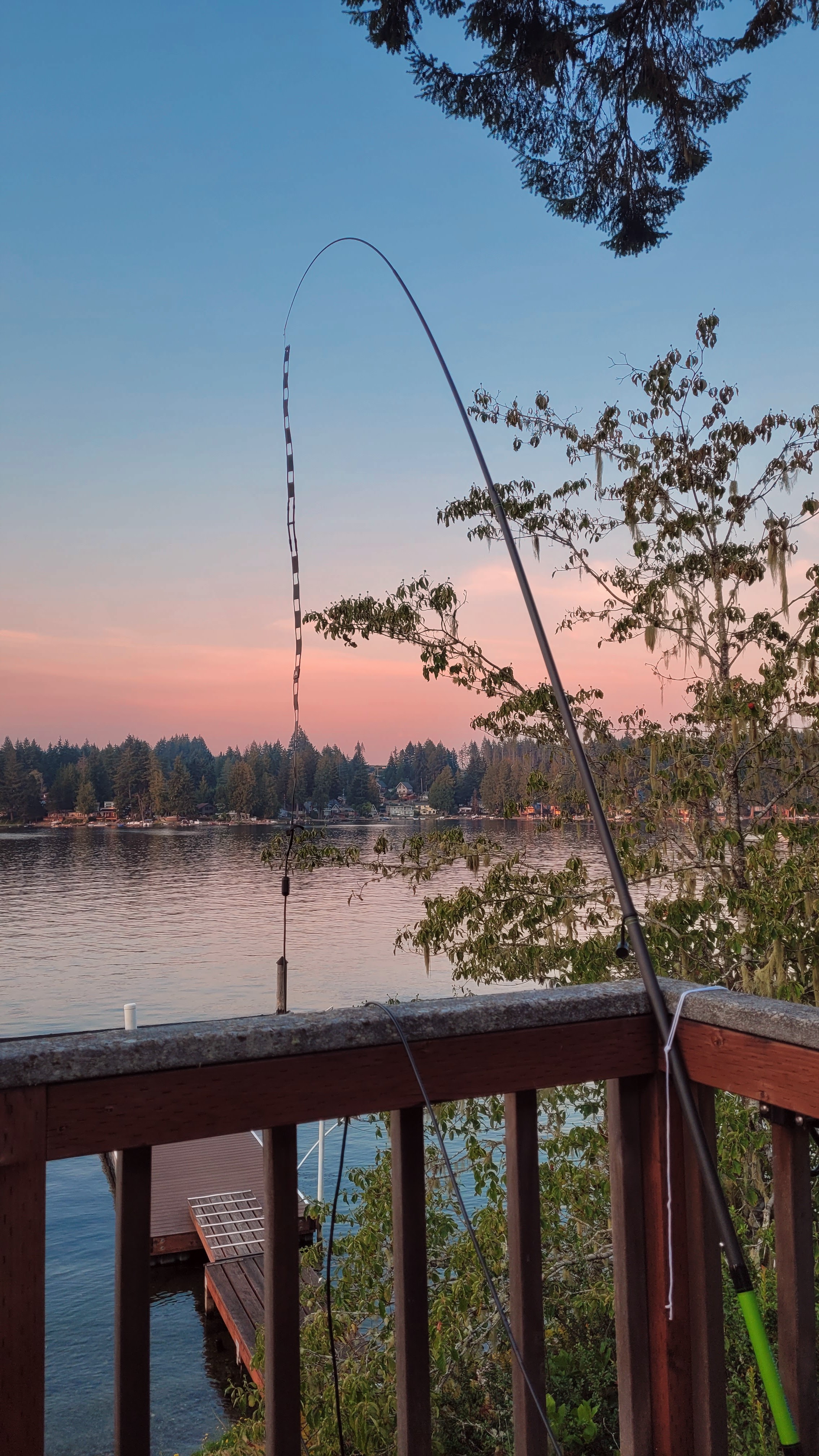 N9TAX antenna hanging in free space