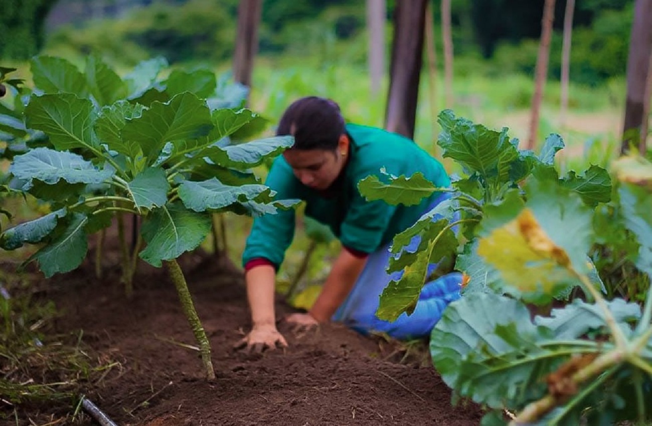 Deputado Alan Queiroz destina R$ 90 mil para aquisição de implementos agrícolas aos produtores rurais de Porto Velho