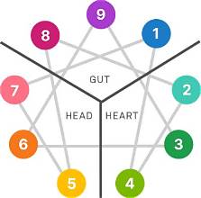 Do you use your head, heart or gut more often?