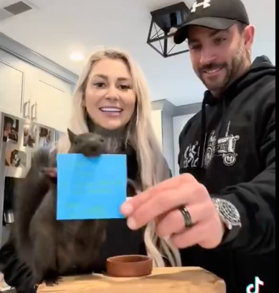 New York’s SWAT Squirrel Takedown A Cautionary Tail of Government