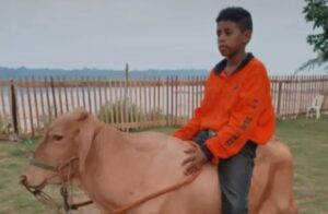 Menino de 13 anos morre baleado na cabeça enquanto andava de bicicleta dentro de condomínio em Porto Velho