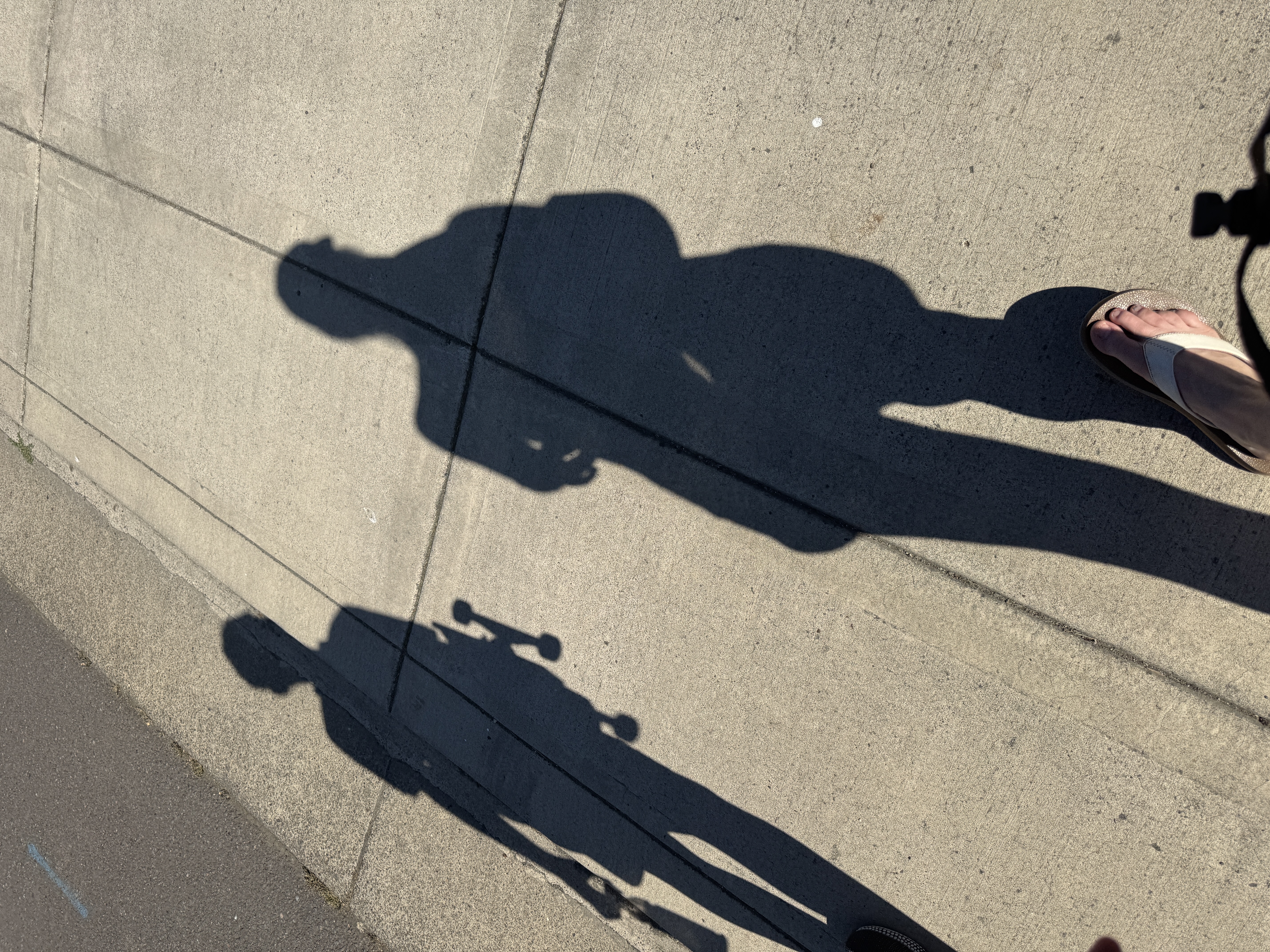 The middle school of it all