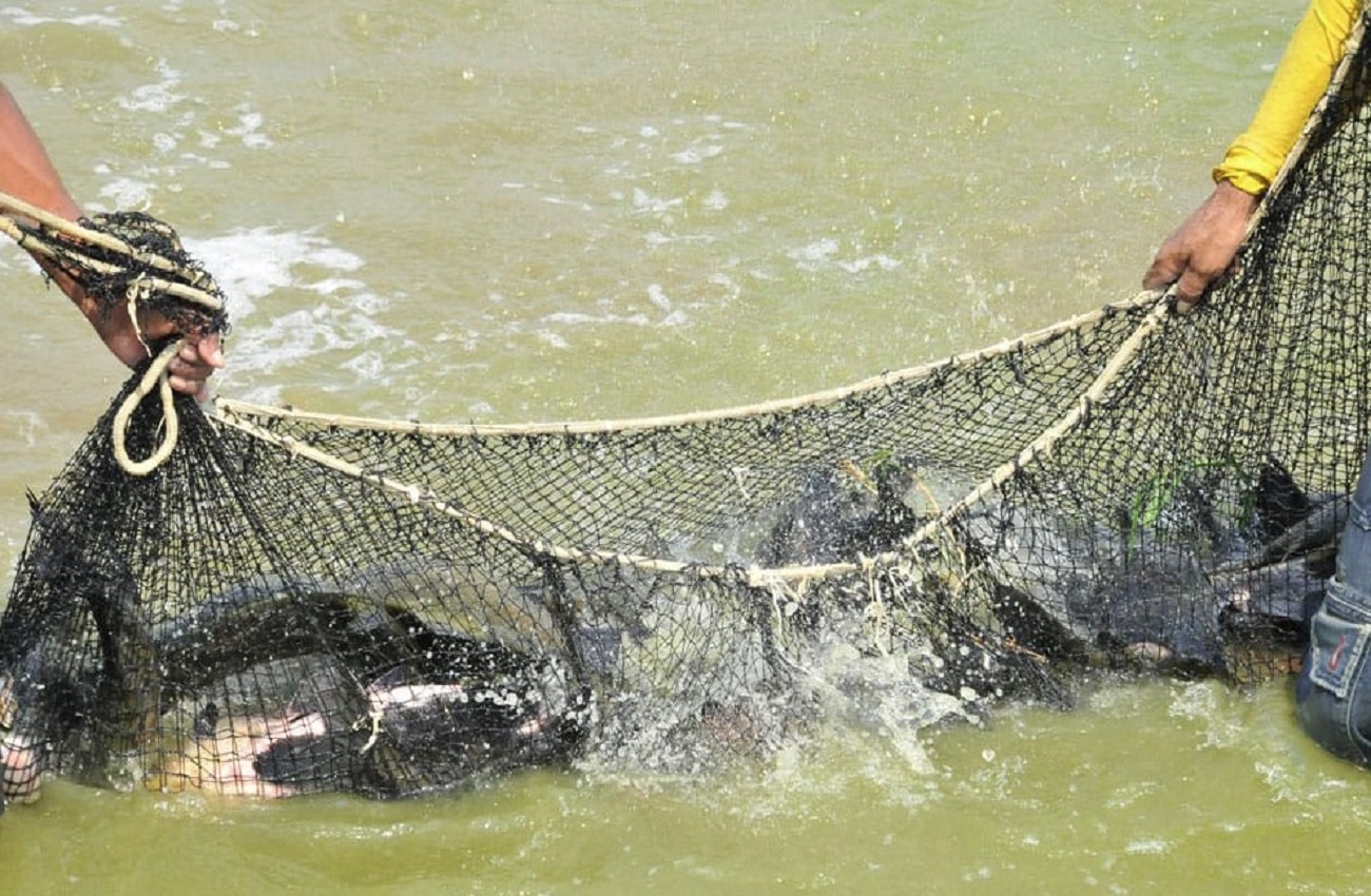 Deputado Alan Queiroz solicita aquisição e distribuição de alevinos aos produtores rurais de Rondônia
