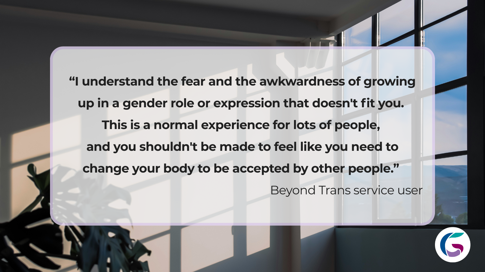 Detransitioner quote card