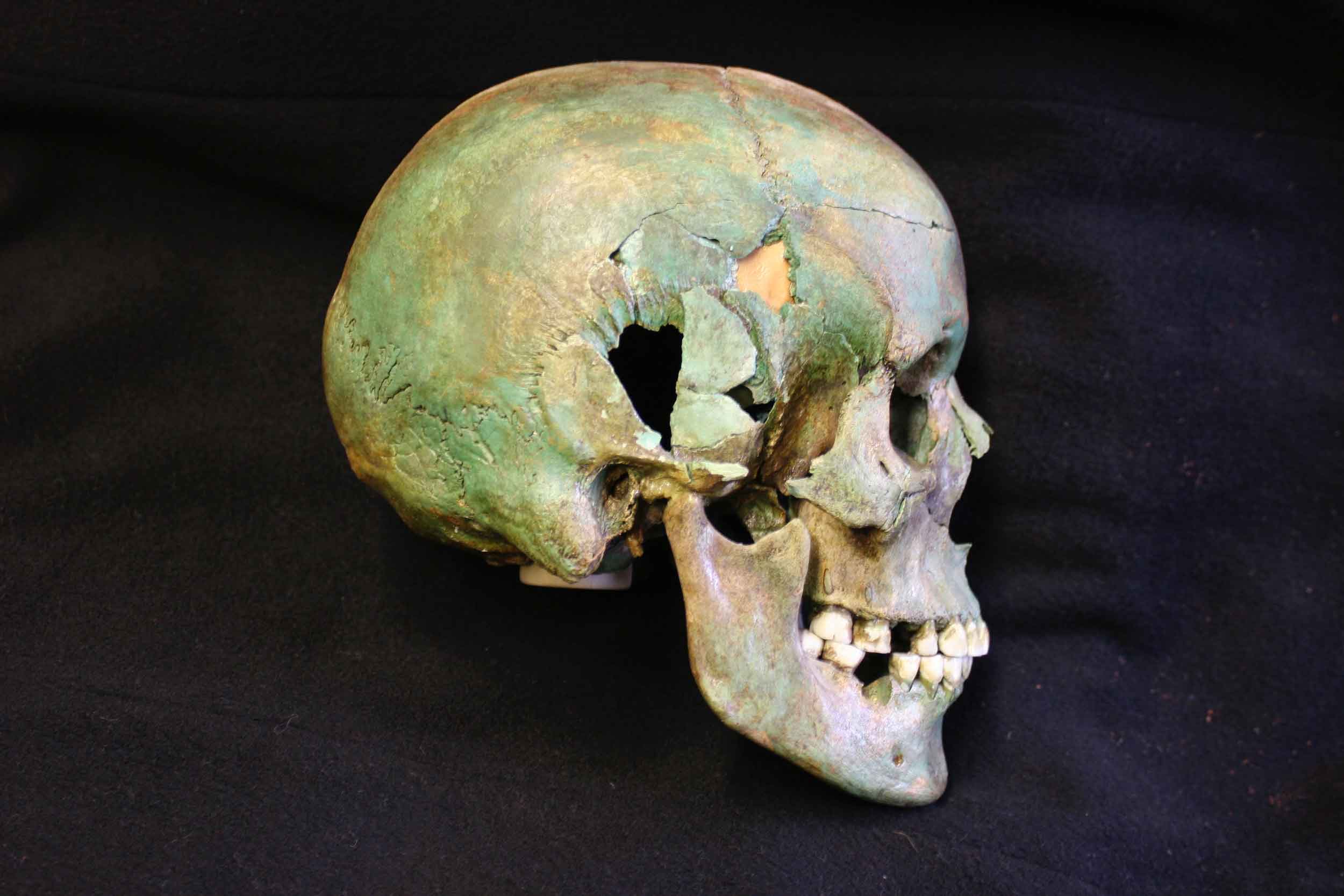 How human evolution has been speeding up - John Hawks