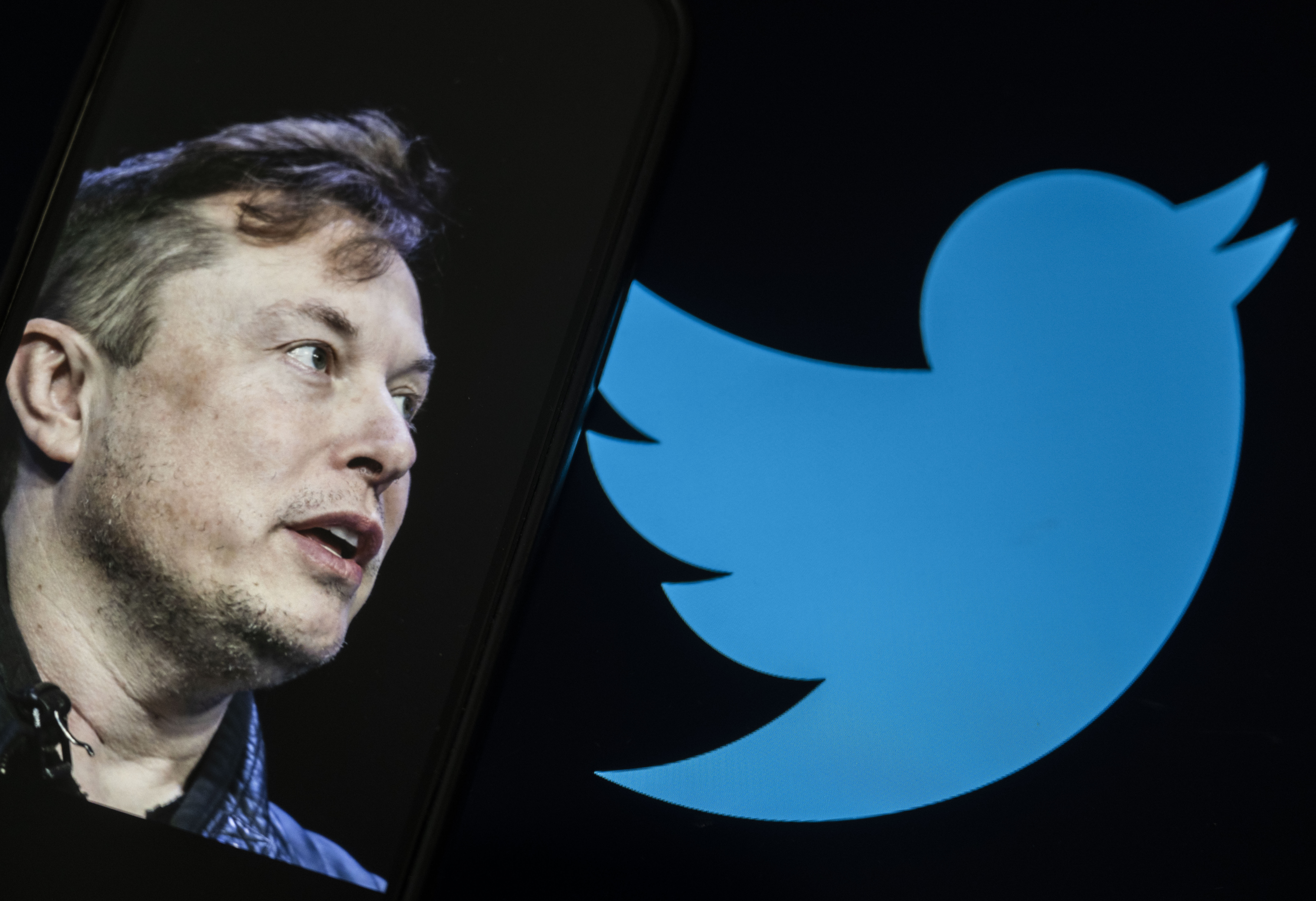 Not Real Life Twitter is not real life - by Lakshya Jain - The Argument