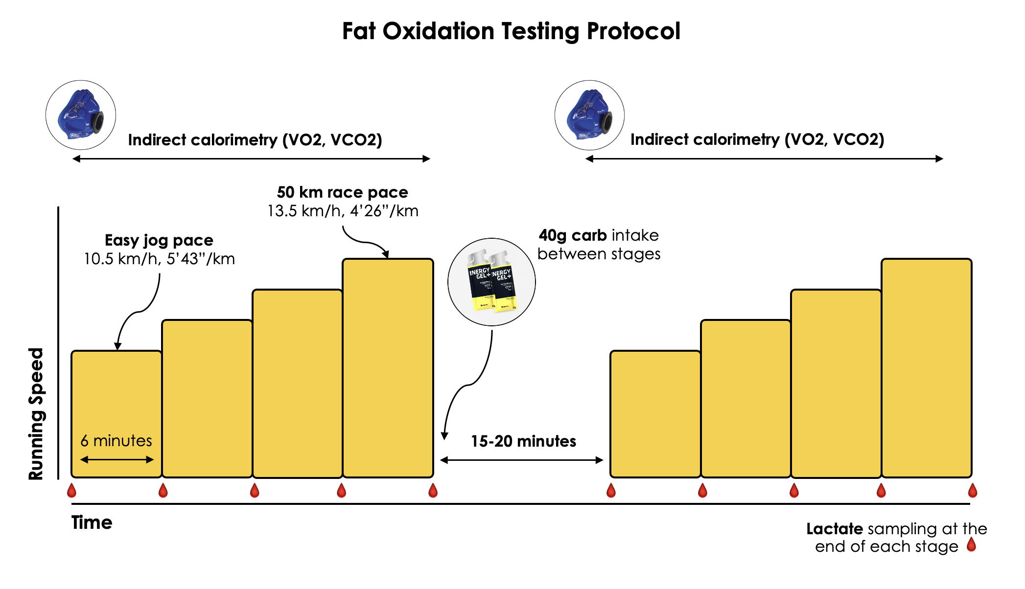 [CoachCorner] Understanding Lactate: A Practical Guide For Endurance ...