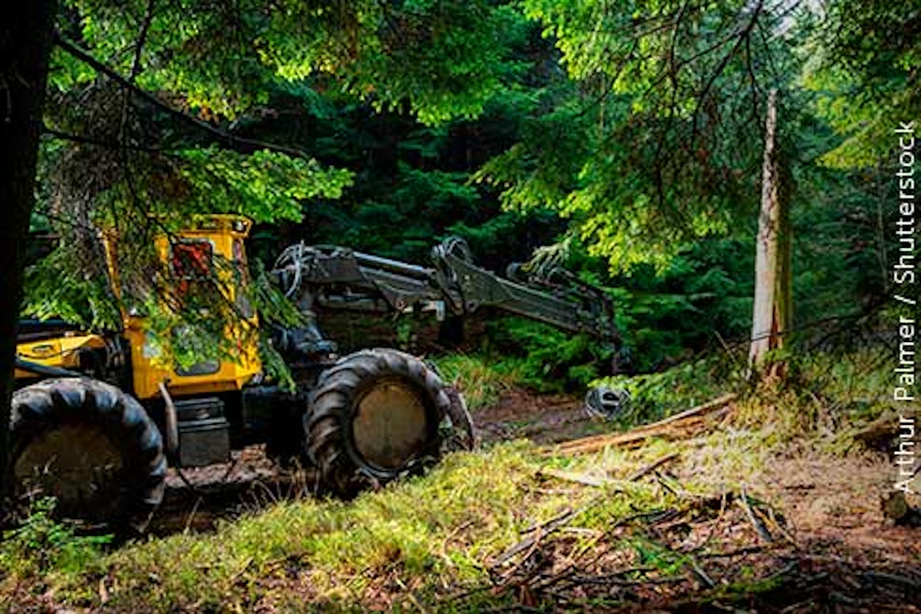 Prazo para exigir que infrator ambiental entregue bem apreendido conta da data de sua recusa
