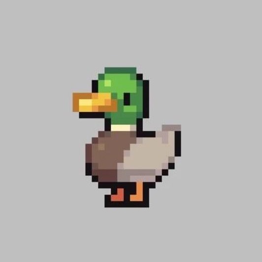 Substack profile picture for @swimming