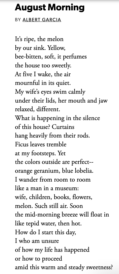 The text of the poem August Morning, by Albert Garcia. It reads: It’s ripe, the melon by our sink. Yellow, bee-bitten, soft, it perfumes the house too sweetly. At five I wake, the air mournful in its quiet. My wife’s eyes swim calmly under their lids, her mouth and jaw relaxed, different. What is happening in the silence of this house? Curtains hang heavily from their rods. Ficus leaves tremble at my footsteps. Yet the colors outside are perfect-- orange geranium, blue lobelia. I wander from room to room like a man in a museum: wife, children, books, flowers, melon. Such still air. Soon the mid-morning breeze will float in like tepid water, then hot. How do I start this day, I who am unsure of how my life has happened or how to proceed amid this warm and steady sweetness?