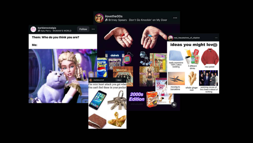 Memes and Internet Culture